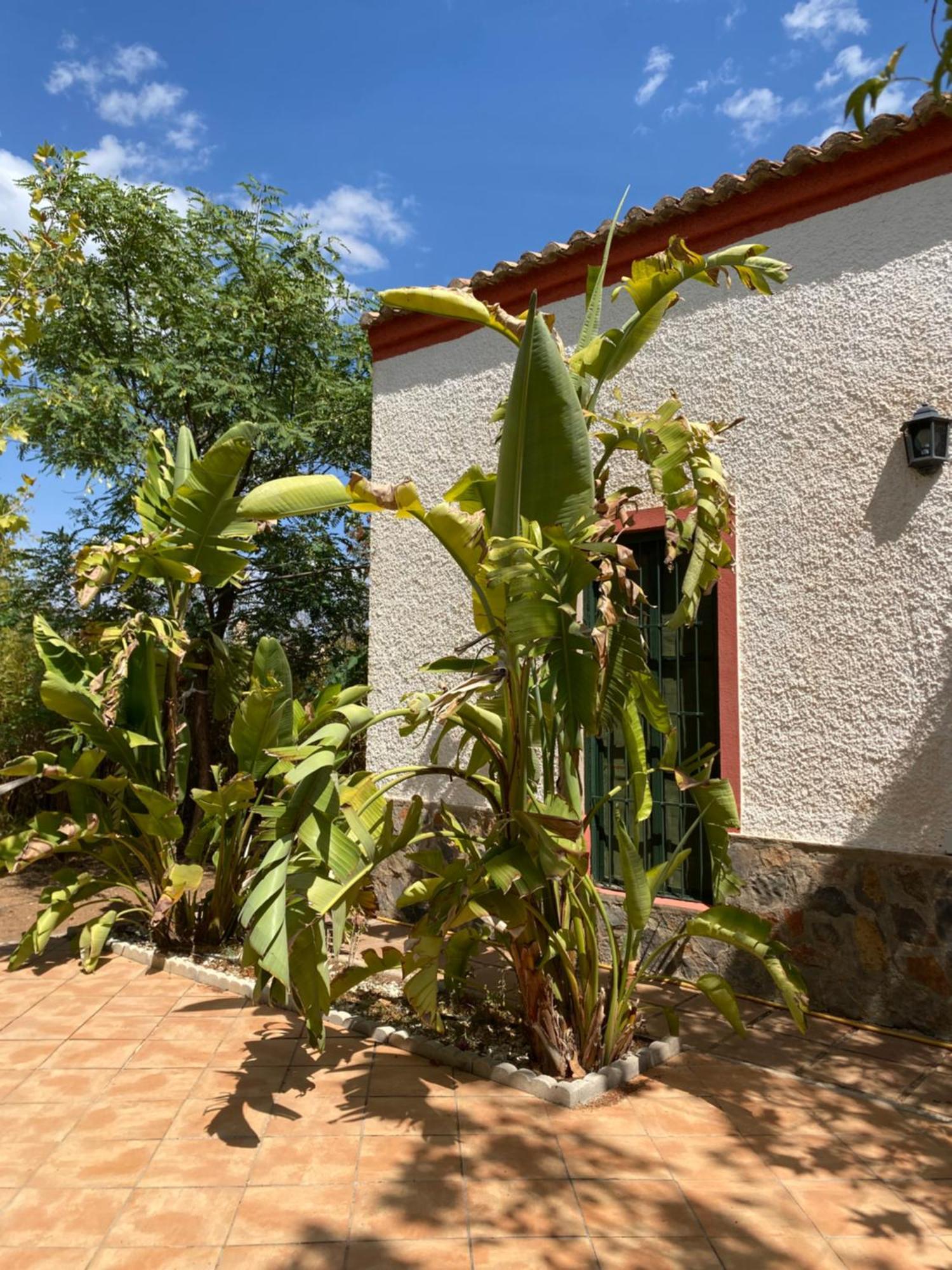 Real Fundicion De Alcora Villa Canjáyar Buitenkant foto