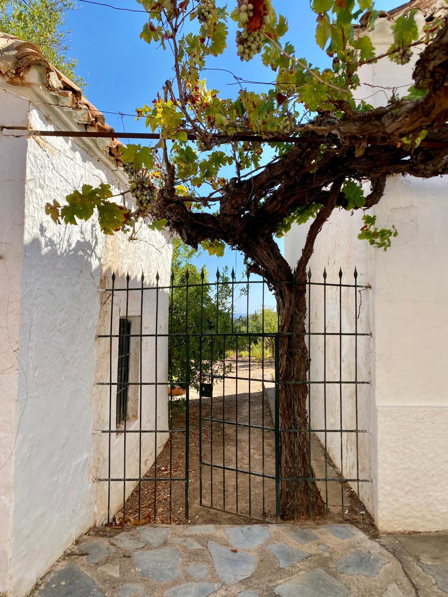 Real Fundicion De Alcora Villa Canjáyar Buitenkant foto